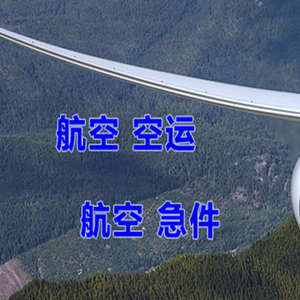 岳阳三荷航空物流快递-选东方航空和上海航空