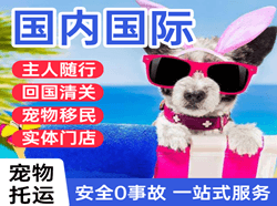 岳阳三荷航空物流国际宠物托运 【国